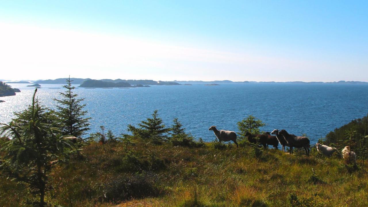 Kobbaneset Hk - Tett Pa Havet - Bekkjarvik 아파트 외부 사진
